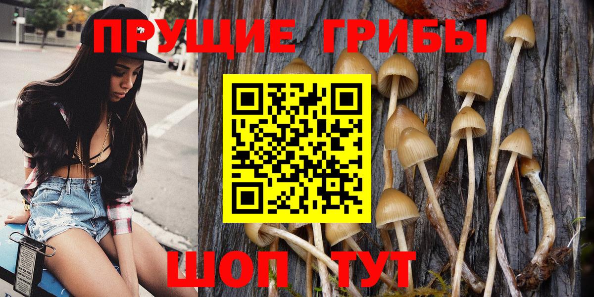 Рузаевка  Псилоцибиновые грибы Psilocybine cubensis  Вход с VPN 